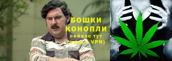 стаф Яранск