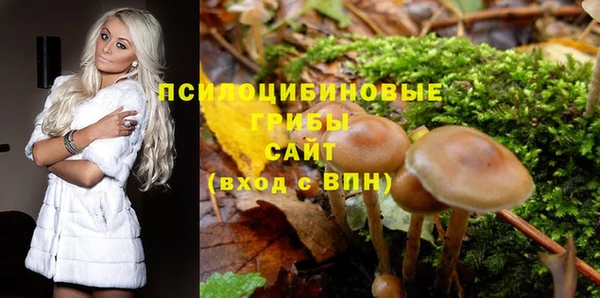 стаф Яранск