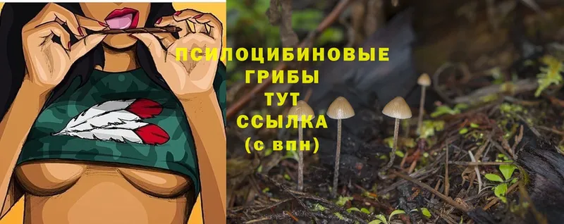 Галлюциногенные грибы Psilocybine cubensis  сайты даркнета как зайти  Чебоксары 