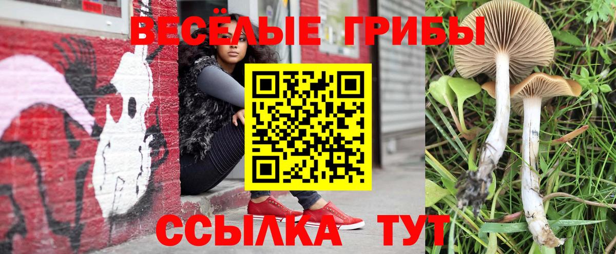 Псилоцибиновые грибы Magic Shrooms Чебоксары