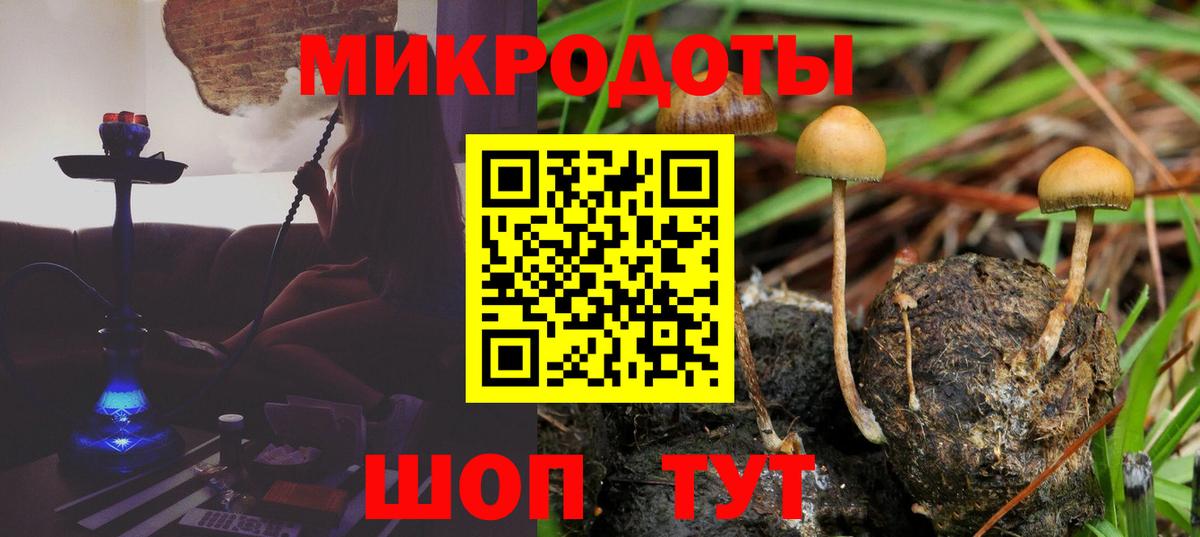 Чебоксары  Галлюциногенные грибы мицелий  Вход с VPN 